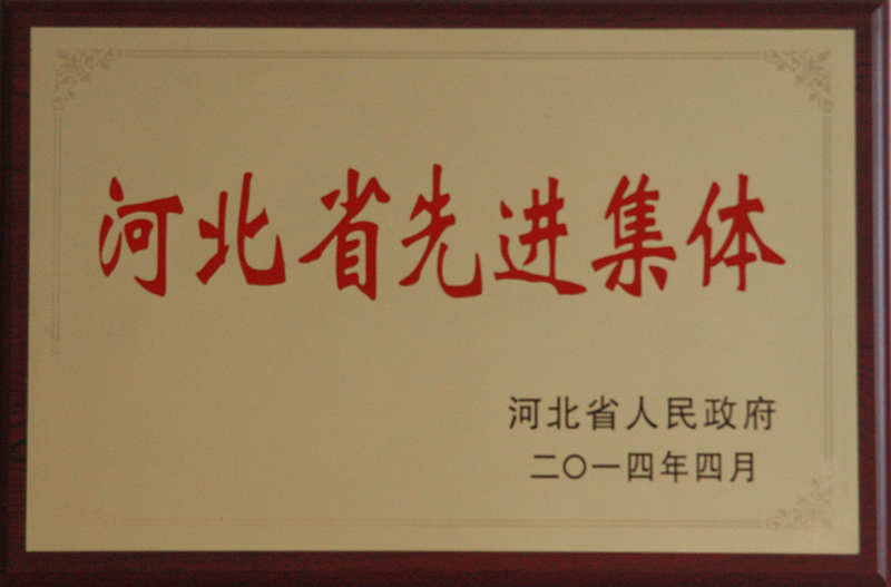 榮譽證書