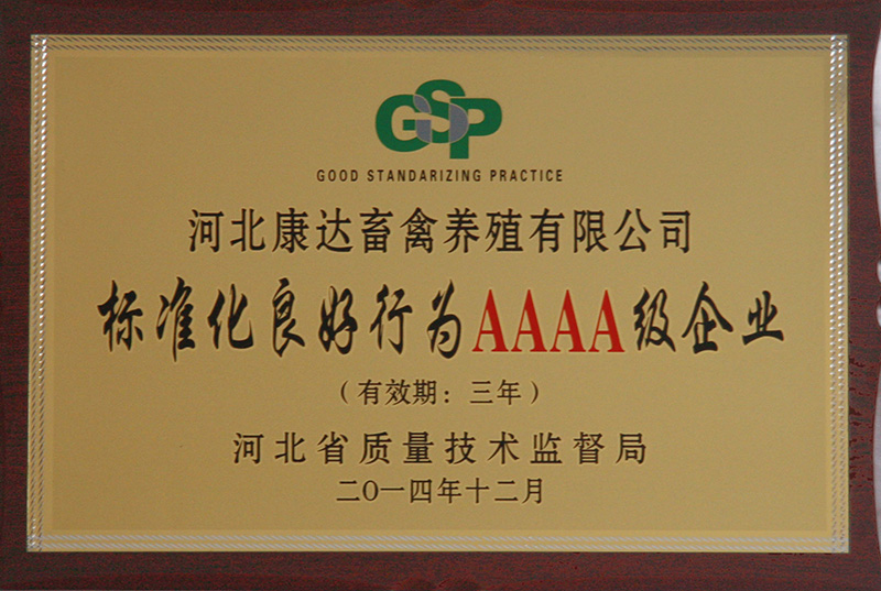 榮譽證書
