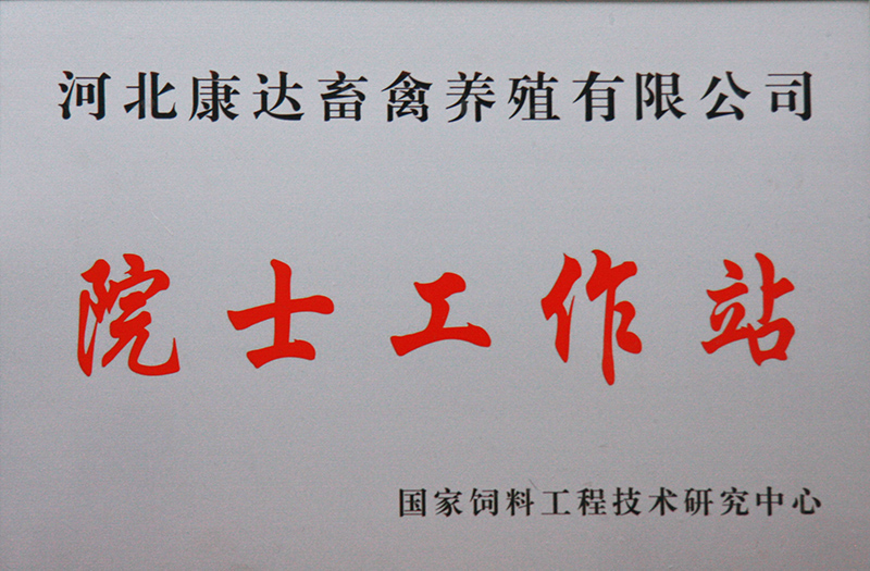 榮譽證書